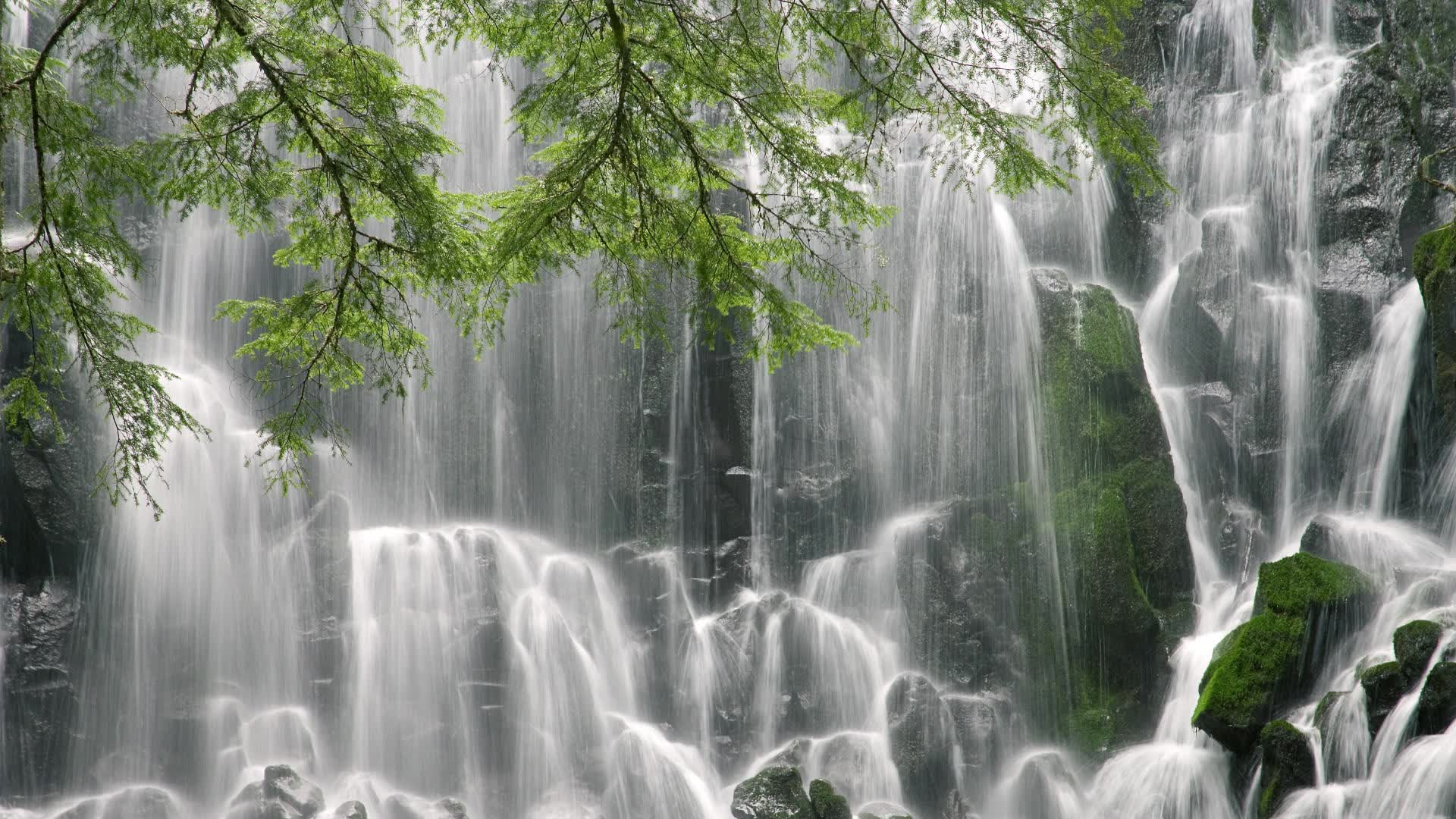世界拳击职业联赛规则细则公开征求意见,世界拳击锦标赛赛制